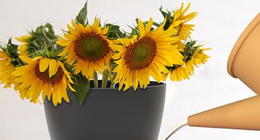 广州荣域新材料实业有限公司是 广州富思德新材料科技全资子...